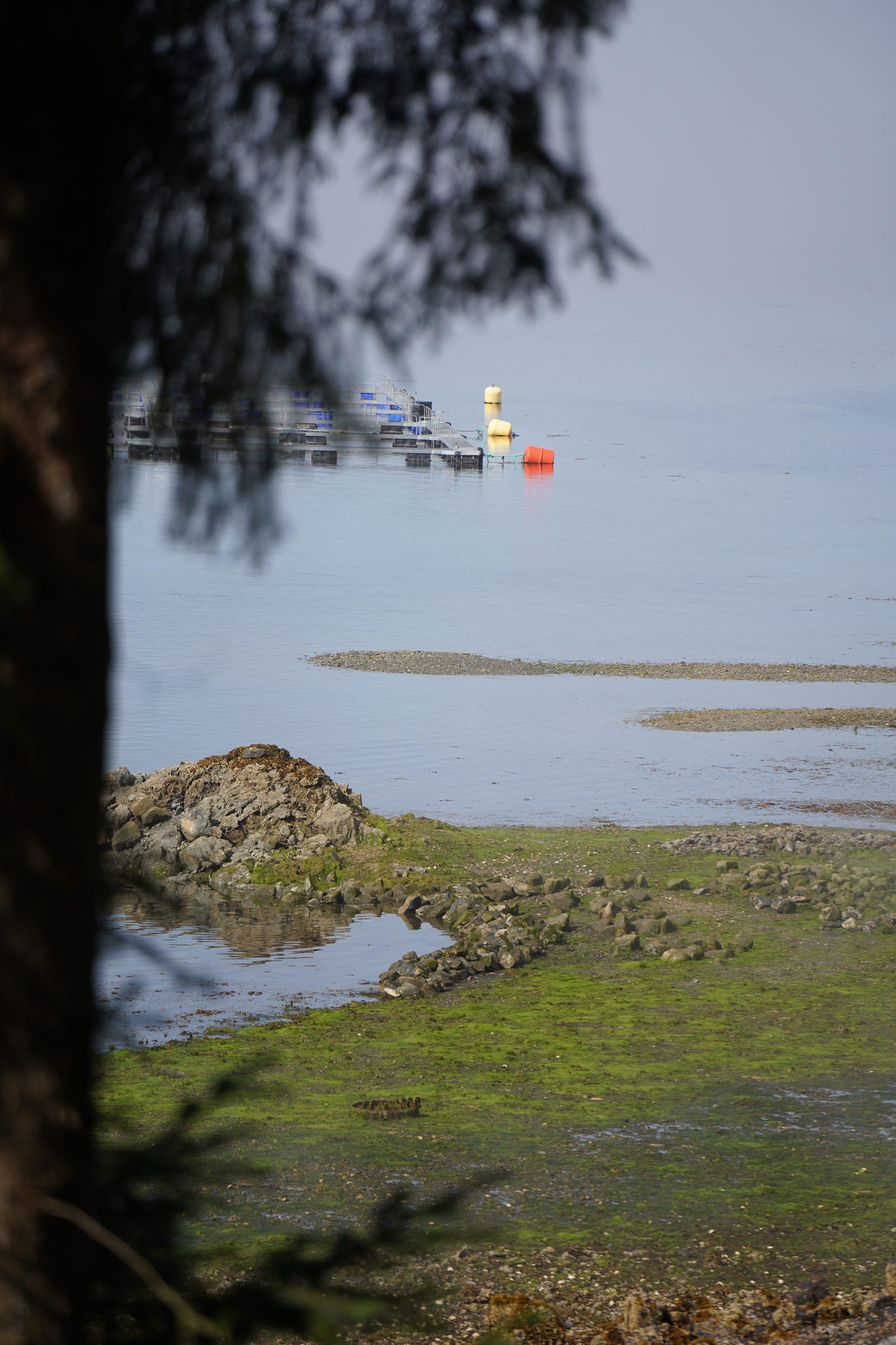 Clam Garden