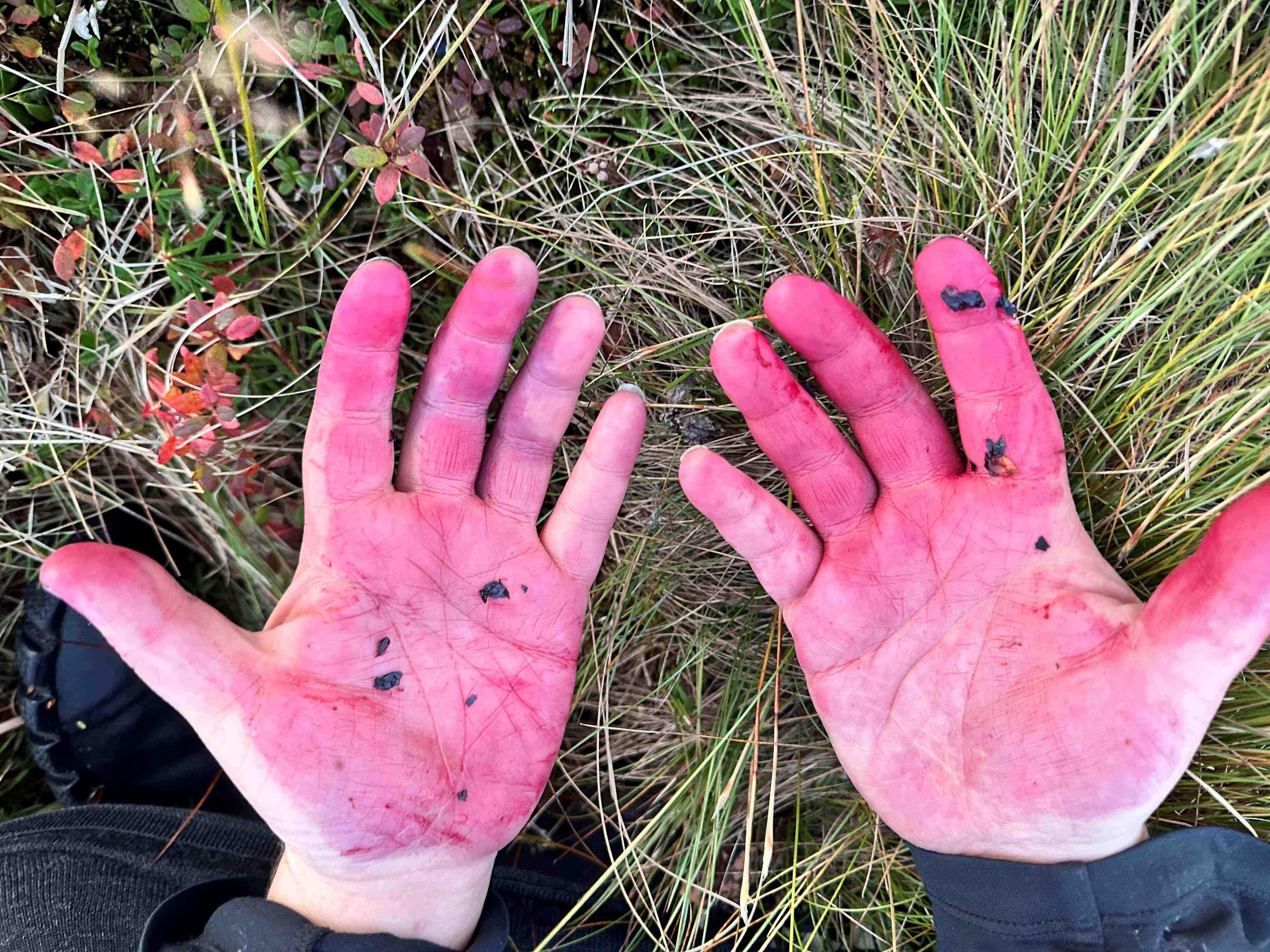 Author hands