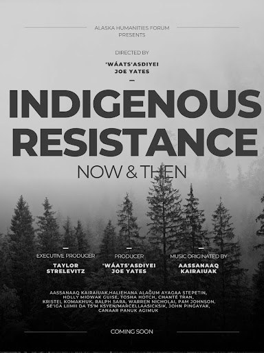 Indigenous Resistance poster