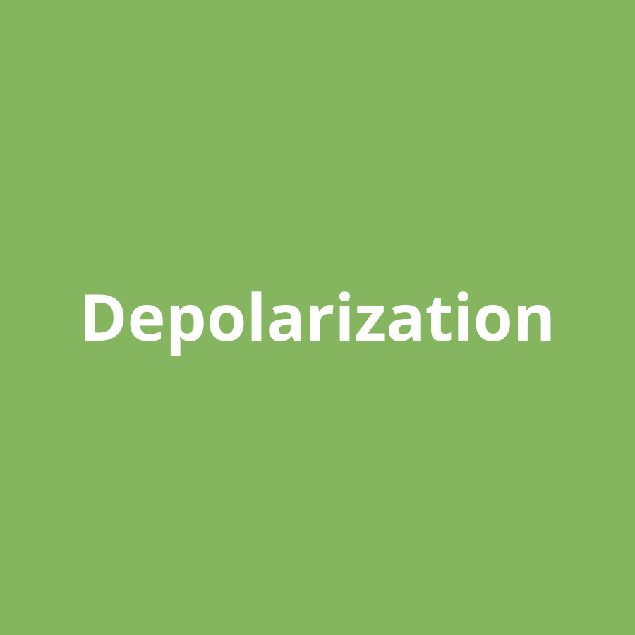 Depolarization