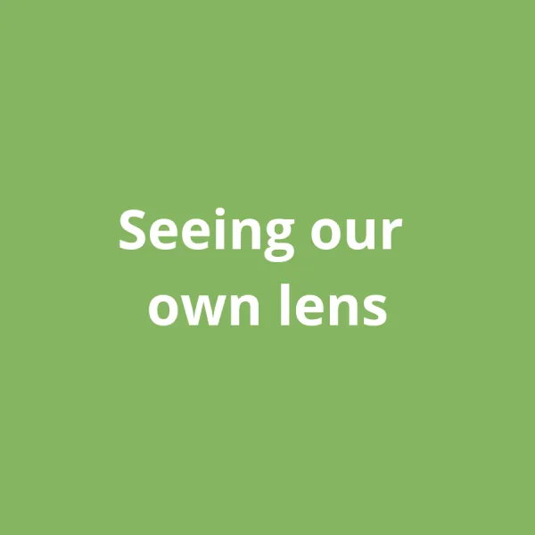 Seeing our own lens