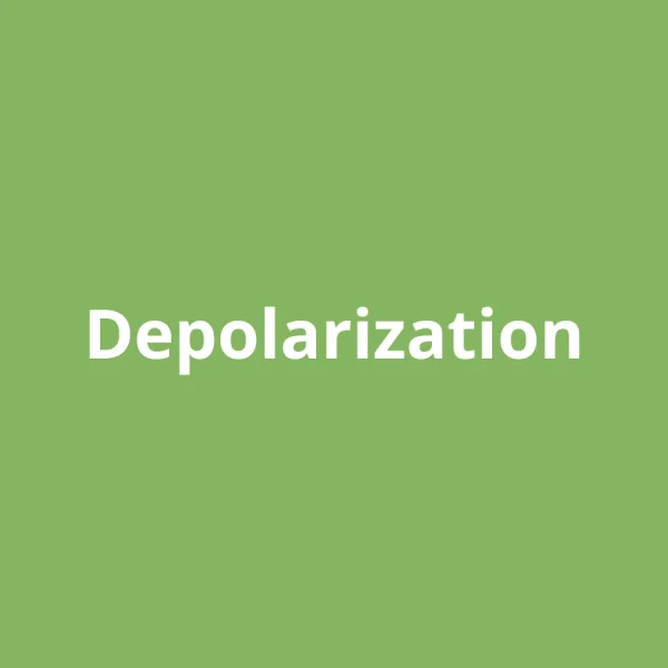 Depolarization