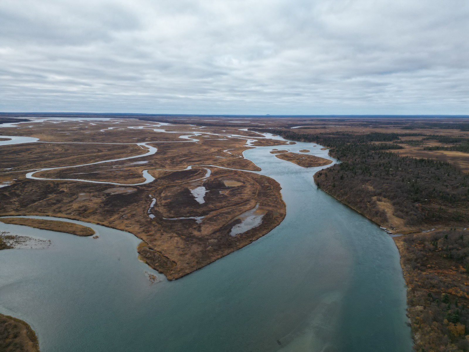 Reach of the Kvichak River